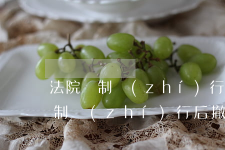 法院強制執(zhí)行階段可以撤訴嗎(強制執(zhí)行后撤訴還能起訴嗎)