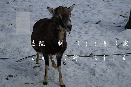 法院強制結(jié)案會怎么做(強制執(zhí)行結(jié)案需要雙方簽字嗎)