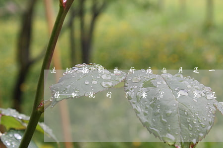 法院强制执行后每月还一点可以吗(你是法院强制执行了要等多久还有结果)
