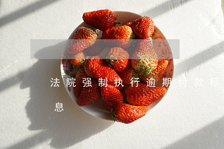 法院强制执行逾期付款标准(强制执行逾期利息)