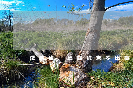 法院律師出庭被告不出庭可以嗎