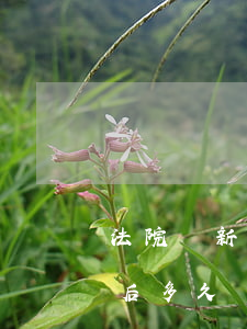 法院從新受理立案開庭可以嗎(法院正式立案后多久開庭)