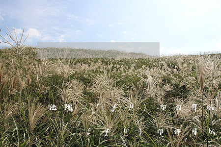 法院復(fù)印件可以作為證據(jù)嗎(復(fù)印件可以作為直接證據(jù)嗎)