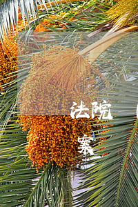 法院復(fù)雜案件可以不結(jié)案嗎(復(fù)雜案件多久可以宣判)