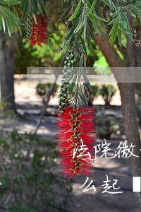 法院微信公眾平臺可以起訴嗎(微信微法院怎么起訴)