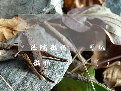 法院微信賬戶可以凍結(jié)嗎(法院把微信賬戶凍結(jié)了怎么辦)