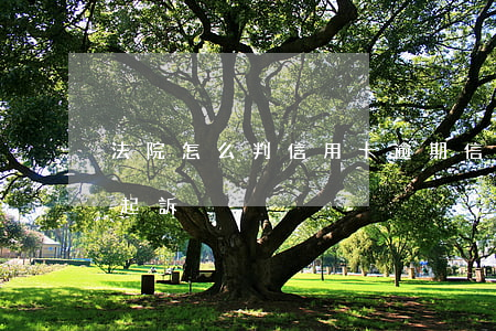 法院怎么判信用卡逾期（信用卡逾期銀行在哪起訴）