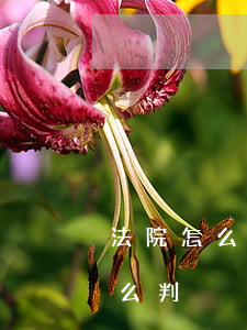法院怎么判決繼承(繼承人不放棄繼承法院怎么判)