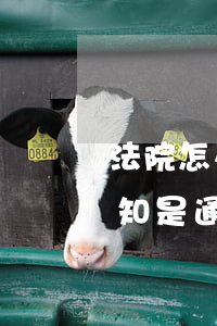 法院怎么受理信用卡逾期(信用卡逾期法院通知是通過(guò)什么方式)