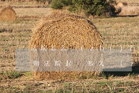 法院怎么執(zhí)行逾期房產-房貸逾期法院起訴多久執(zhí)行