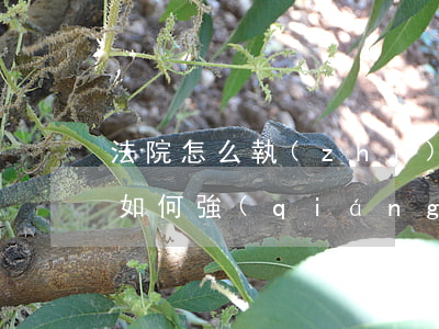 法院怎么執(zhí)行銀行逾期還款 銀行如何強(qiáng)制執(zhí)行還款
