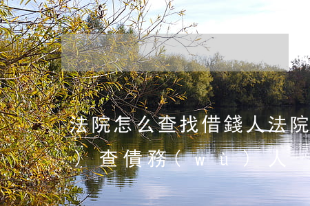 法院怎么查找借錢人(法院怎么調(diào)查債務(wù)人)