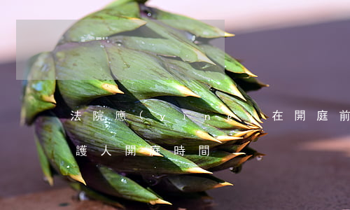 法院應(yīng)在開庭前好多日通知辯護人開庭時間