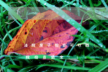 法院房子拍賣可以轉(zhuǎn)手嗎(法院拍賣過來(lái)的房子能轉(zhuǎn)讓嗎)