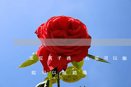 法院房子過戶后還可以撤銷嗎(房子已過戶法院可以撤銷嗎)