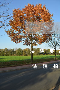法院房產(chǎn)拍賣可以買嗎(可以買法院拍賣的房子嗎)