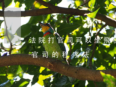 法院打官司可以坐飛機(jī)嗎(到法院打官司的程序法)