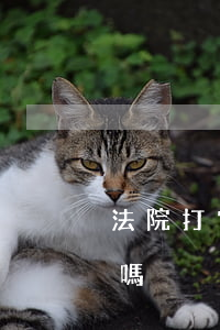 法院打官司可以貸款嗎(有法律訴訟可以貸款嗎)