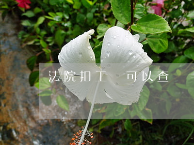 法院扣工資可以查賬嗎(法院劃扣工資有記錄嗎)