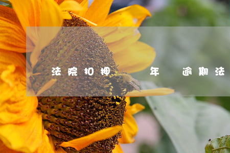 法院扣押車輛年檢逾期(法院查封車輛能年審嗎)