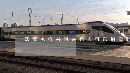法院执行共同共有人可以拍卖吗