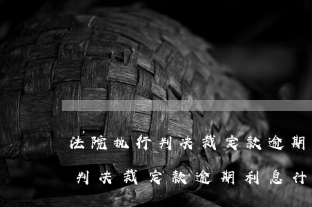 法院执行判决裁定款逾期利息计算(法院执行判决裁定款逾期利息计算)