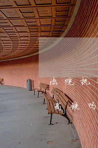 法院执行可以做高铁吗(法院立案后还可以坐高铁吗)