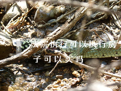法院执行可以执行房子吗(法院强制执行的房子可以买吗)