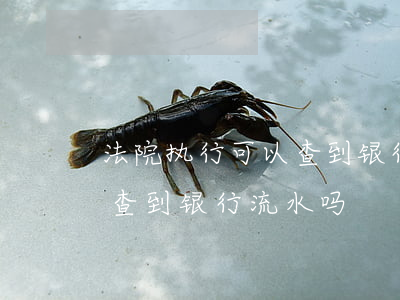 法院执行可以查到银行流水吗(法院执行可以查到银行流水吗)