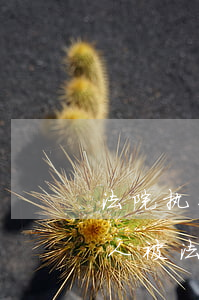 法院执行局可以查一个人的原籍吗(怎样查个人被法院执行?)
