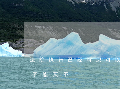 法院执行已经解决可以买房吗(法院执行的房子能买不)