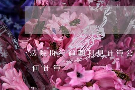法院执行逾期利息计算公式 执行逾期利息如何计算
