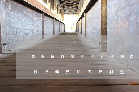 法院执行逾期抚养费利息怎么计算-逾期支付抚养费能否算利息