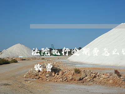 法院执行逾期费怎么收-法院执行欠款怎么收费