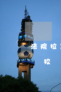 法院拉黑可以報考駕校嗎(法院拉黑可以報考駕校嗎)