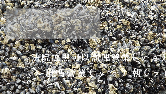 法院拉黑可以辦理營業(yè)執(zhí)照嗎(營業(yè)執(zhí)照被拉黑了有多大影響)