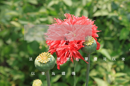 法院拉黑黑名單還可以坐高鐵嗎(黑名單不可以坐高鐵嗎)