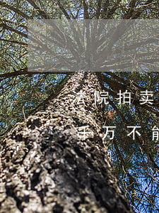 法院拍卖买的房子可以买吗(法院拍卖的房子千万不能买)