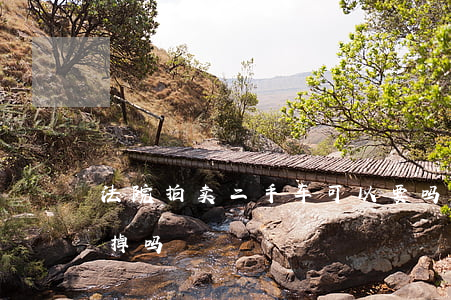 法院拍卖二手车可以要吗(拍卖车可以转手卖掉吗)