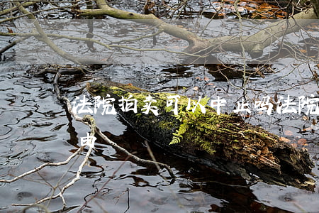 法院拍卖可以中止吗(法院中止拍卖的法定事由)