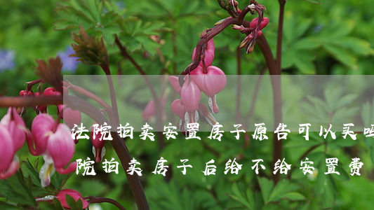 法院拍卖安置房子原告可以买吗(唯一住房法院拍卖房子后给不给安置费)