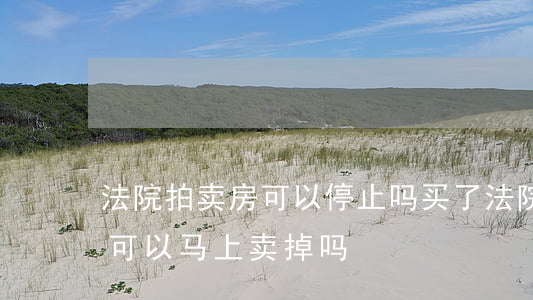 法院拍卖房可以停止吗(买了法院拍卖的房子可以马上卖掉吗?)