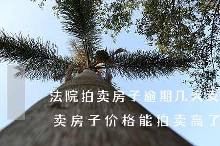 法院拍卖房子逾期几天支付(房贷逾期法院拍卖房子价格能拍卖高了吗)