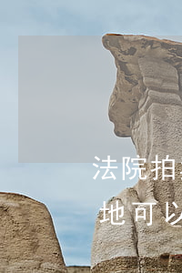 法院拍卖的土地可以建房子吗(拍卖的国有土地可以自建房吗)
