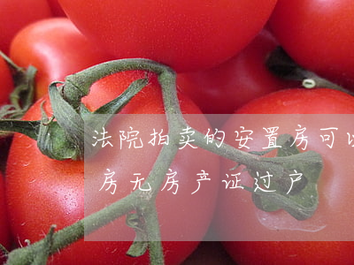 法院拍卖的安置房可以更名吗(司法拍卖安置房无房产证过户)