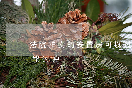 法院拍卖的安置房可以过户吗(安置房拍卖不能过户)