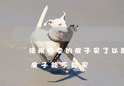 法院拍卖的房子买了以后可以卖吗(法院拍卖房子能不能买?)
