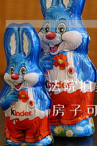 法院拍卖的房子可以再卖吗(买了法院拍卖的房子可以马上卖掉吗?)