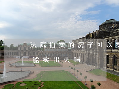 法院拍卖的房子可以卖掉吗(法院拍卖的房子能卖出去吗)