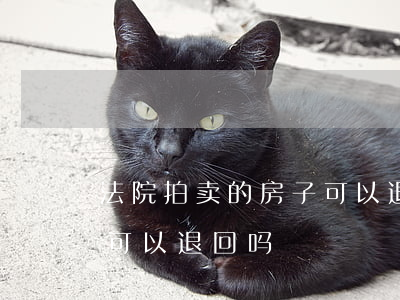 法院拍卖的房子可以退回吗(法院拍卖的房子可以退回吗)